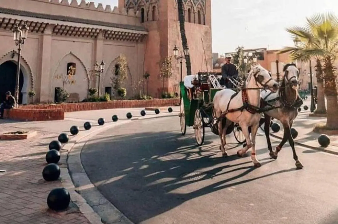 Event Atlas Vip Marrakesh Luxury tent